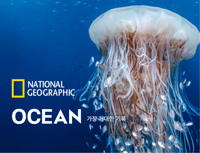 내셔널지오그래픽 OCEAN 특별기획전 포스터