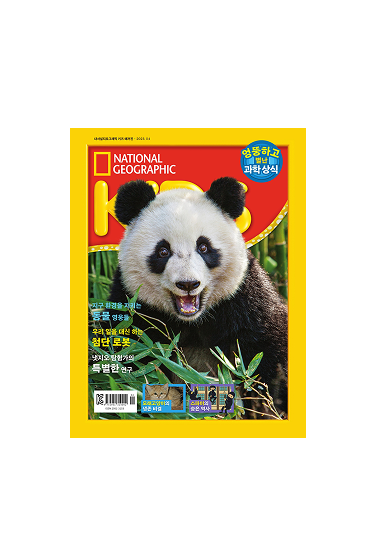 내셔널지오그래픽 키즈 1년 구독권